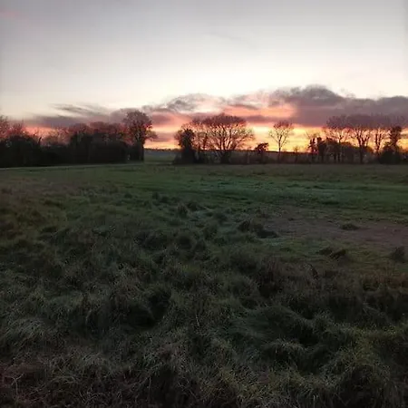 De La Treille Asnieres-en-Poitou